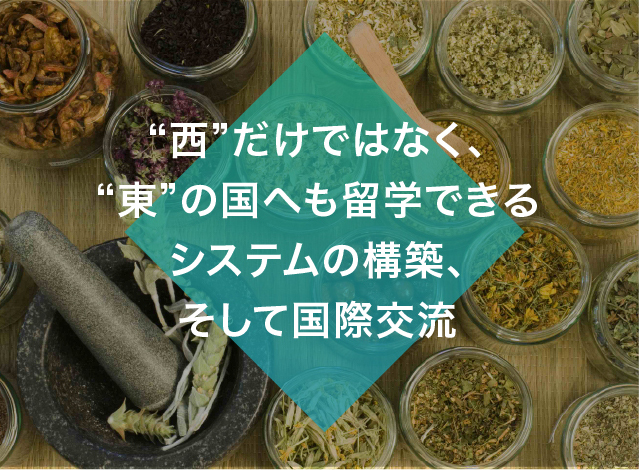 &ldquo;西&rdquo;だけではなく、&ldquo;東&rdquo;の国へも留学できるシステムの構築、そして国際交流